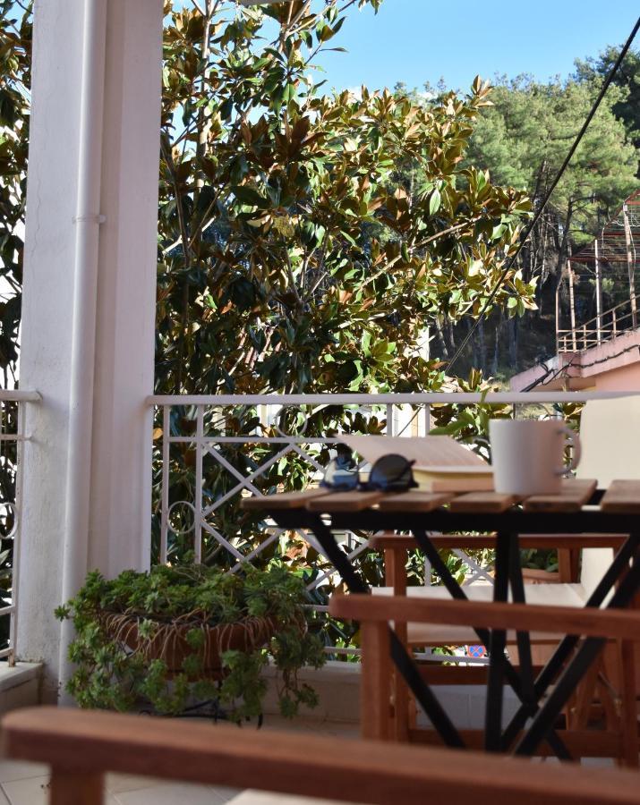 Magnolia House In Ioannina Leilighet Eksteriør bilde